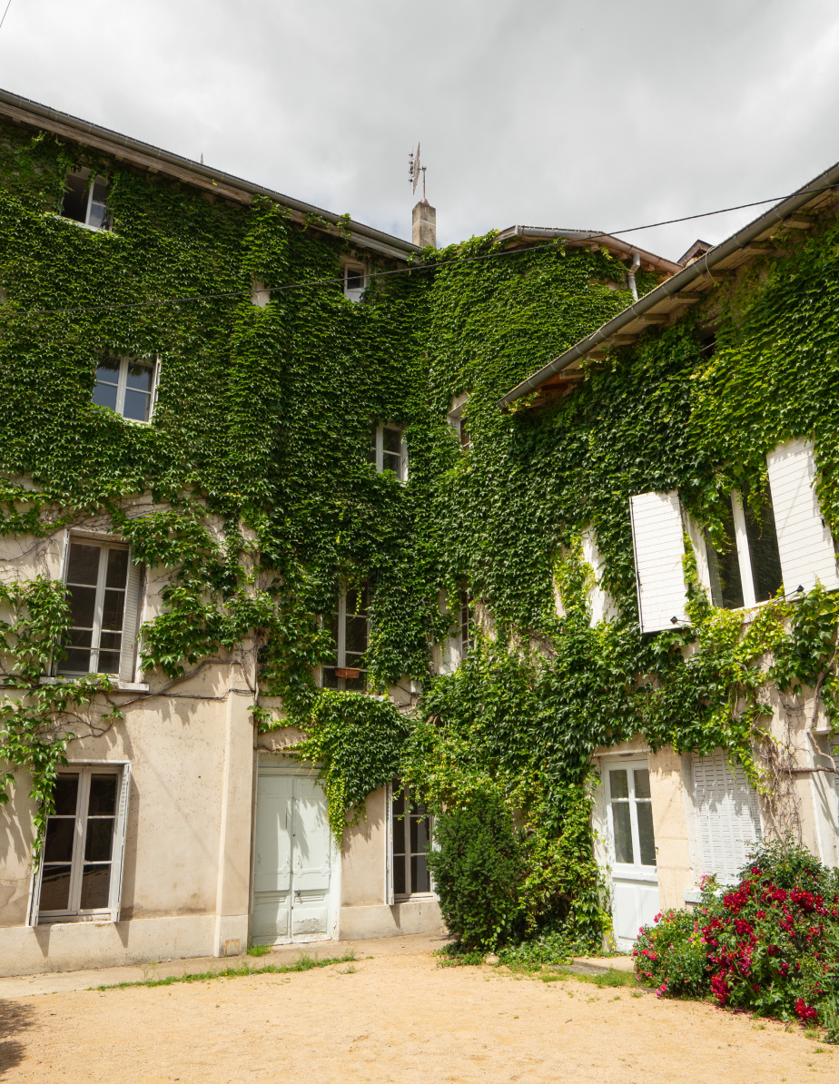 Maison verdure fa&ccedil;ade neuville-sur-sa&ocirc;ne